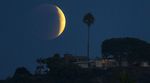 Gerhana Supermoon di Berbagai Belahan Dunia