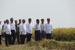 Panen di Karawang