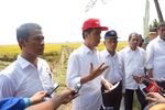 Panen di Karawang