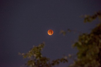Penampakan bulan merah di waktu subuh berlokasi di Jerman. (istimewa/detikcom/gettyimages)