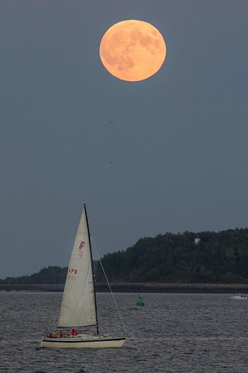     Blood moon menghasilkan cahaya kemerahan seperti warna darah. Ini adalah penampakan bulan merah di perairan negara Boston, Massachusetts. (istimewa/detikcom/gettyimages)