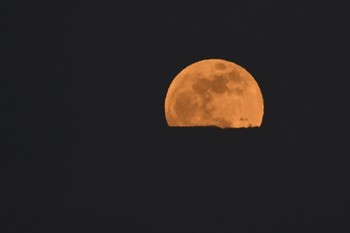 Bulan merah di langit Colombia. (istimewa/detikcom/gettyimages)