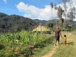 Ugimba, Desa Tersembunyi di Kaki Carstensz