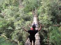 Jarak dari Desa Ugimba ke Puncak Carstensz sekitar 40-an km yang ditarik garis lurus. Kalau berjalan kaki, sekitar 6 hari (Afif/detikTravel)