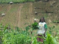 Kehidupan sehari-hari di Ugimba, yakni yang pria berburu ke dalam hutan. Sedangkan wanita, berkebun menanam ubi, kol, bayam, kedelai dan sayur mayur lainnya (Afif/detikTravel)