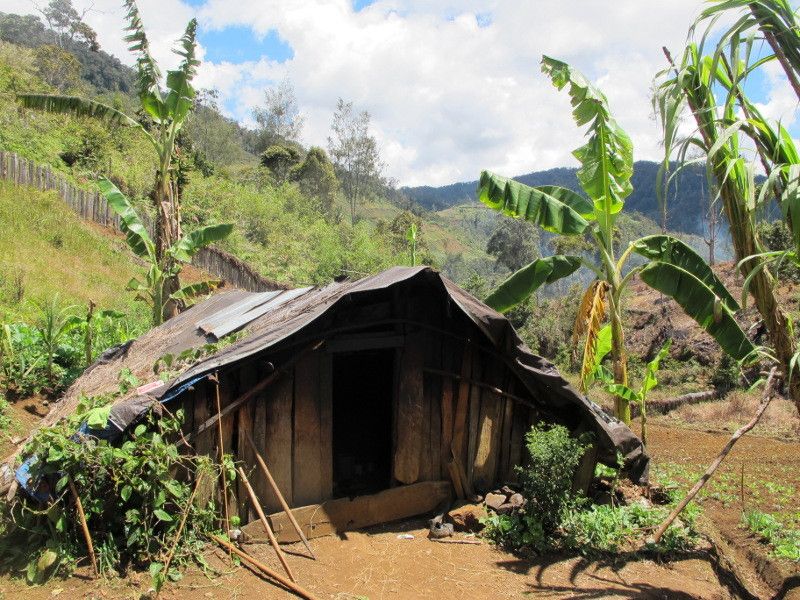 Ugimba, Desa Tersembunyi di Kaki Carstensz