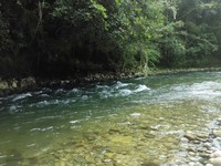 Ugimba pun memiliki Sungai Kemabu yang bersih dan jernih. Airnya sangat dingin karena berasal dari pegunungan-pegunungan di sekitar Puncak Carstensz (Afif/detikTravel)