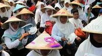 Mayoritas petani memakai caping.