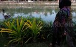 Ini Gaya Risma Rekreasi Murah di Taman Ekspresi