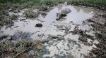 Danau di Jatiasih Kering Kerontang