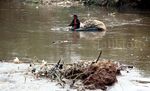 Mengais Rezeki di Sungai Ciliwung