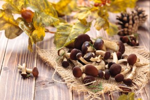 Matsutake dan Enokitake, Jamur Jepang yang Populer (1)