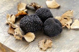 Jamur Truffle, Jamur Mahal Primadona Sajian Fine Dining