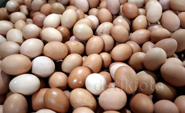Telur Ayam RI Kembali Diekspor ke Myanmar