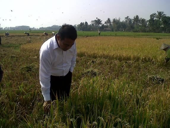 Mentan: Jangan Tanya Soal Impor Beras Lagi!