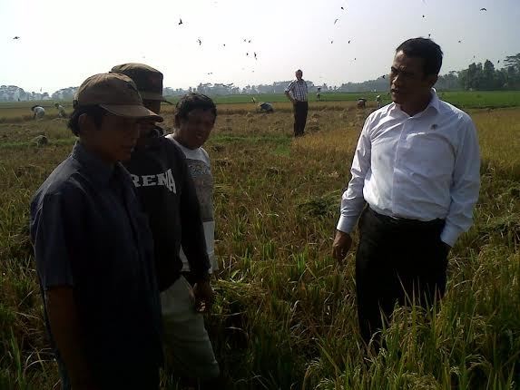 Mentan: Pedagang Sepakat Turunkan Harga Beras