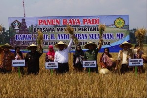 Panen Padi di Blitar, Mentan Tegaskan Produksi Melimpah