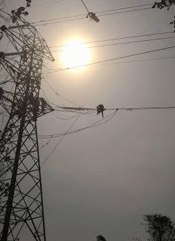 9 Hari, Tim Spiderman PLN Atasi Krisis Listrik di Sulawesi