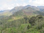 Sugapa, Desa Mahal di Papua yang Indah