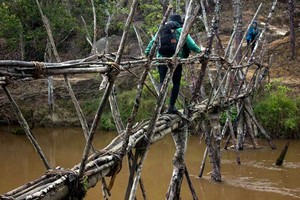 Jembatan Kayu Asli Papua, Seperti Apa?