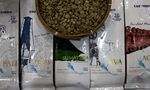 Peringatan Hari Kopi Internasional