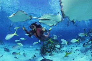 Kemenpar Gelar Pameran Wisata Diving di Tokyo, Jepang