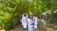 Sejumlah jemaah haji berteduh di bawah pohon Sukarno.