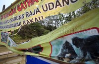 Terlebih kini habitatnya berkurang 1 karena mati kehausan atau dehidrasi.