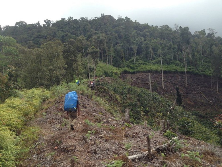 Unduh 93 Koleksi Gambar Gunung Latimojong Paling Baru HD