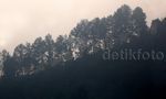 Kabut Asap di Sawahlunto Masuk Kategori Berbahaya