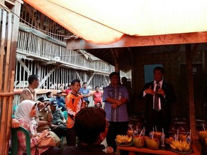 Blusukan ke Kandang Ayam, Mentan Amran Dicurhati Peternak