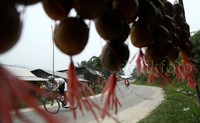 Jika di Etape 3 treknya berkarakter kencang, yakni penuh tantangan sprint dan tanpa titik King of Mountain, maka di Etape 4 lebih dominan tanjakan.     