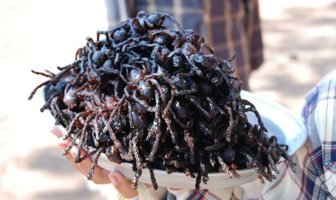 Hasil gambar untuk tarantula goreng