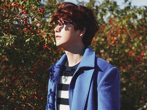 Kyuhyun SuJu, Si Pangeran Musim Gugur Rilis Album Solo Lagi