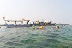 Dunia Bawah Laut Kepulauan Seribu,  Cakep !