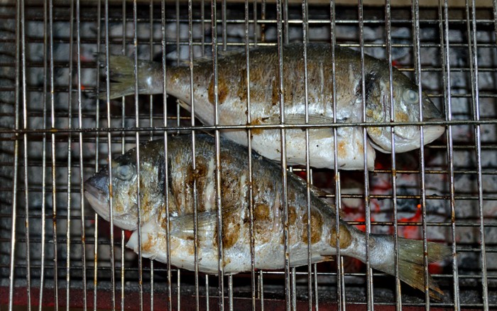 Ini Rahasia Bikin Ikan Bakar Seenak Buatan Warung  Tenda 