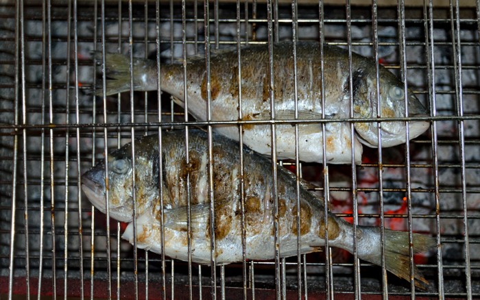 Ini Rahasia Bikin Ikan Bakar Seenak Buatan Warung Tenda Ini Rahasia Bikin Ikan Bakar Seenak Buatan Warung Tenda