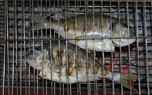 Ini Rahasia Bikin Ikan Bakar Seenak Buatan Warung Tenda