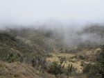Padang Savana di Atas Awan Papua
