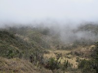 Padang savana pertama yang tim Ekspedisi Jurnalis ke Carstensz 2015, ada di ketinggian 3.700-an mdpl. Ketinggian yang sudah setara dengan Puncak Gunung Rinjani. Pemandangannya menakjubkan! (Afif/detikTravel)