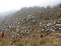 Karena lokasinya di ketinggian, maka cuaca di padang savananya pun sulit ditebak. Kadang tertutup kabut tebal, tapi selang berapa menit kemudian langsung cerah (Afif/detikTravel)