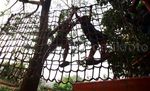 Keceriaan Anak-anak Bantaran Kali Ciliwung