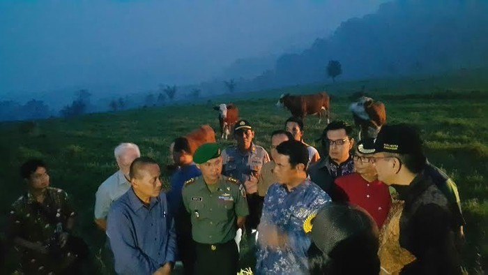 Datang ke Peternakan Sapi di Padang, Jokowi Geleng-geleng Kepala