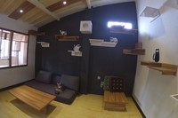 Konsep kafe kucing hadir di Bandung sekitar 3 bulan lalu, mencoba mengadaptasi konsep sejenis yang sudah ada di Jepang. Biasanya kafe ramai pada sore hari oleh pelajar, mahasiswa dan keluarga yang membawa anaknya untuk bermain.(Tya/detikTravel)