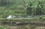 Etape 8 Pebalap lalui Kelok 44