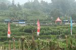 Etape 8 Pebalap lalui Kelok 44