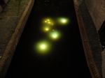 Saat Kota Utrecht Dipenuhi Cahaya Misterius