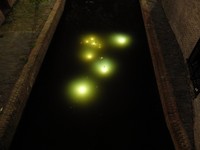 Ada pula Trajectum Lumen yang berpendar dari permukaan kanal (Sastri/detikTravel)