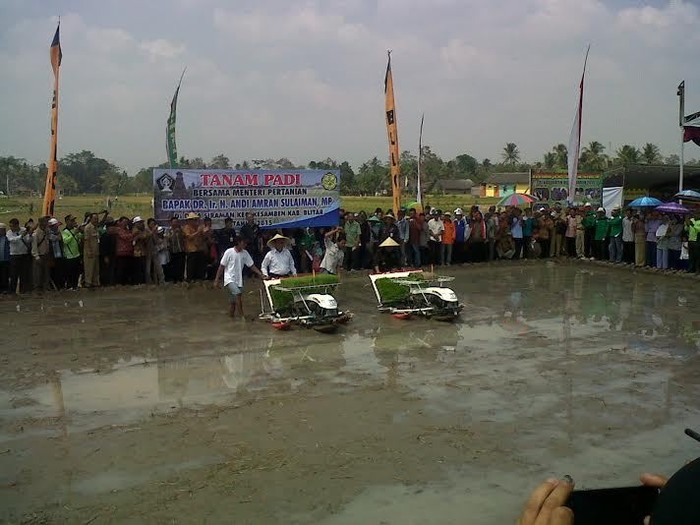 Agar Efisien, Lahan-lahan Sempit Petani akan Digabung