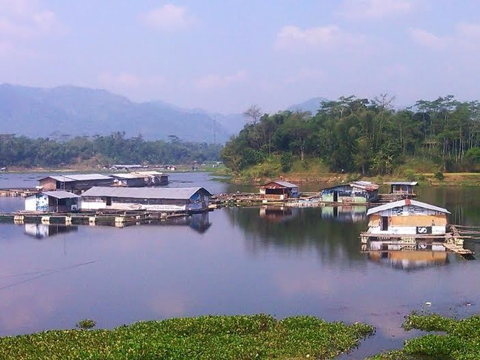 Ribuan Keramba Ikan Ilegal di PLTA Terbesar di ASEAN, Tapi Dibiarkan